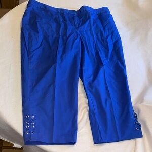 Rafaella Blue Curvy Pants